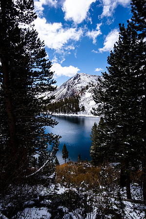Toiyabe National Forest