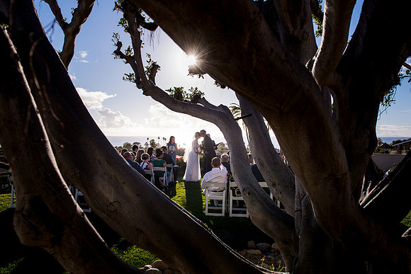 Backyard Wedding